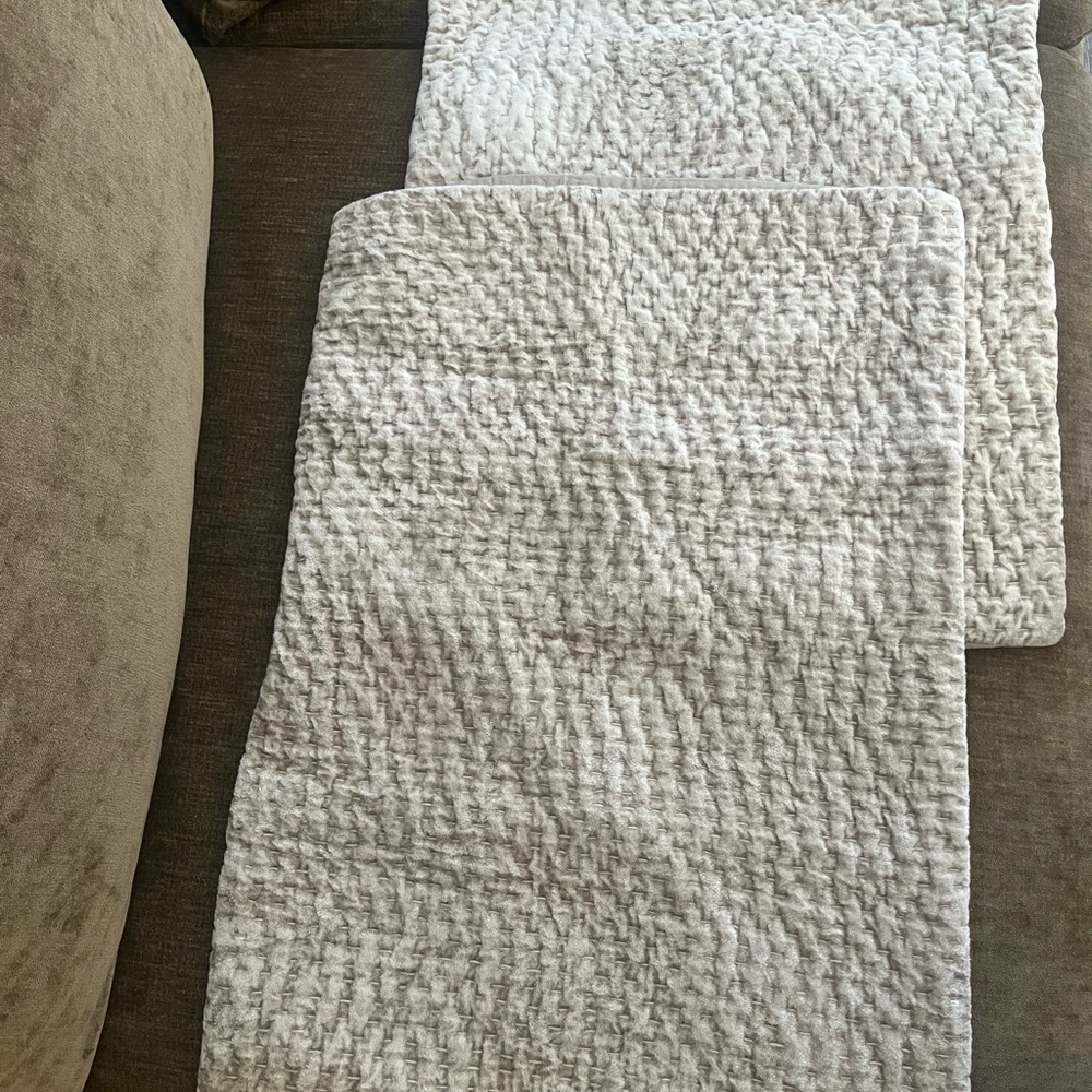 Pair Restoration Hardware Pillow Shams